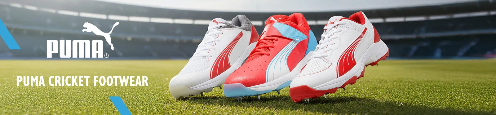 Puma Cricket Footwear