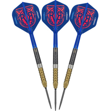 Target Raymond van Barneveld G6 95% Swiss Steel Tip Darts