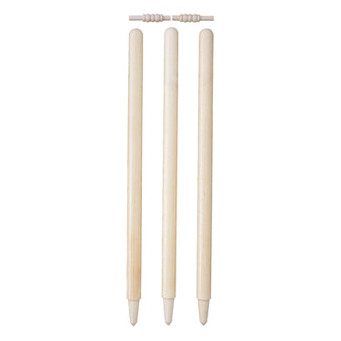 Test Cricket Stumps