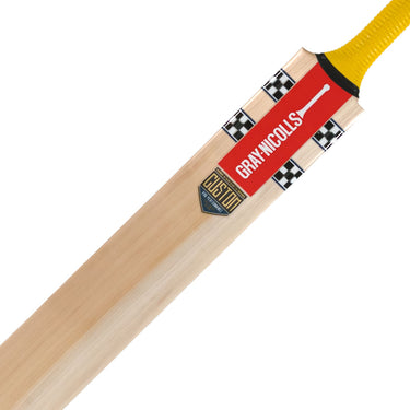 Gray-Nicolls Havoc 317 Custom Made Cricket Bat