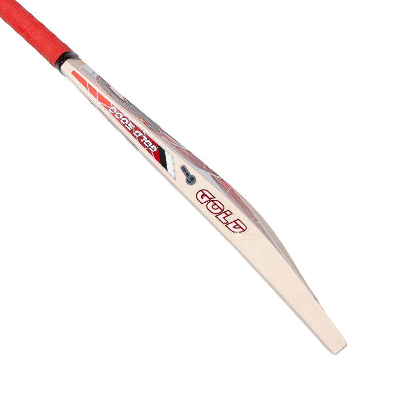 CA Gold 5000 Cricket Bat