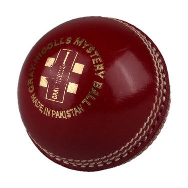 Gray Nicolls Mystery Cricket Ball