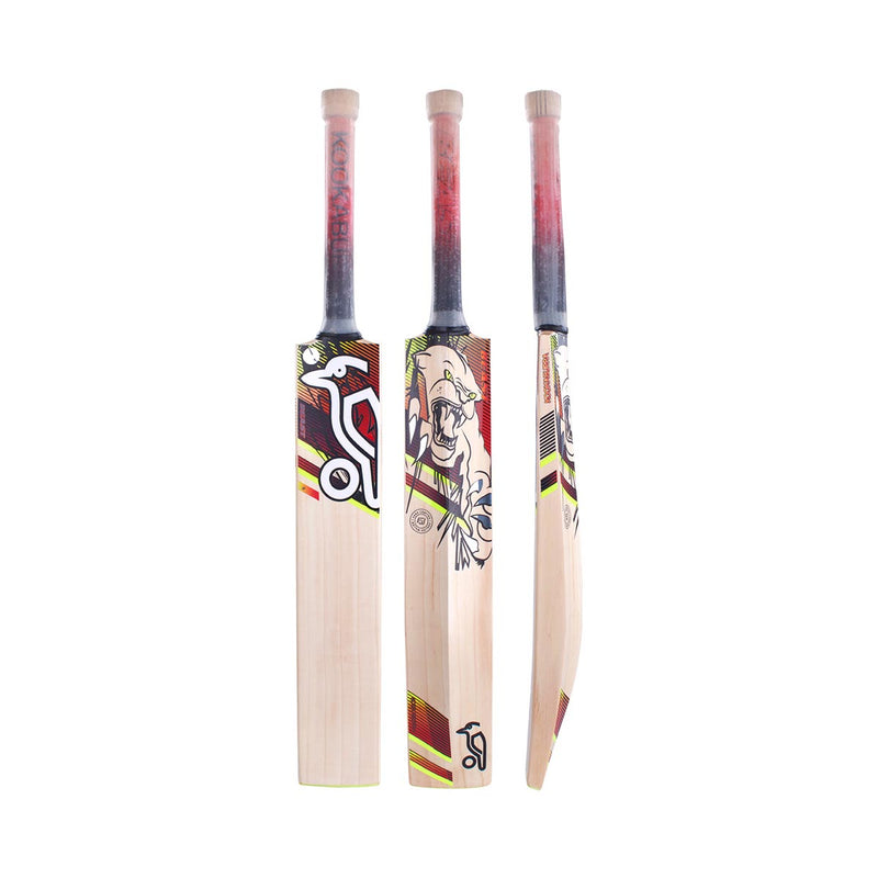 Kookaburra Beast 3.1 Cricket Bat
