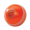 Hunts County Bomber Cricket Ball