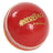 Aero Trainer Cricket Ball Main