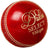 Dukes Select Cricket Ball 
