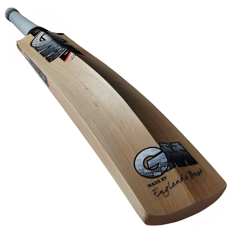 Gunn & Moore Icon LE Cricket Bat