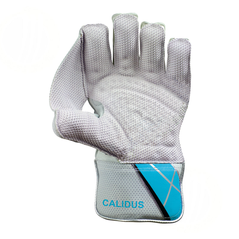 Hunts County Cadilus Wicketkeeping Gloves