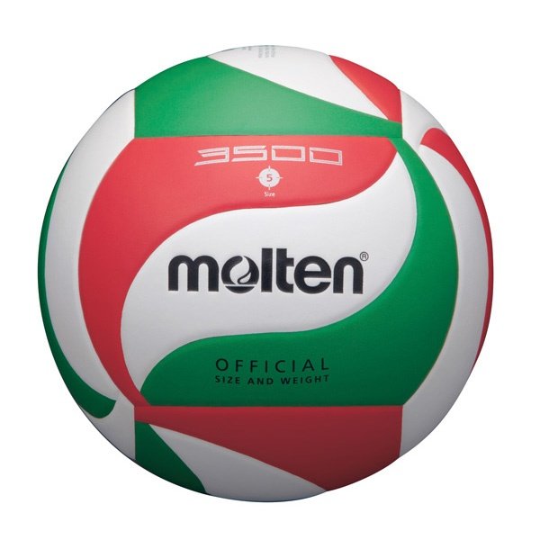 Molten VM3500 FIVB PU Leather Volleyball