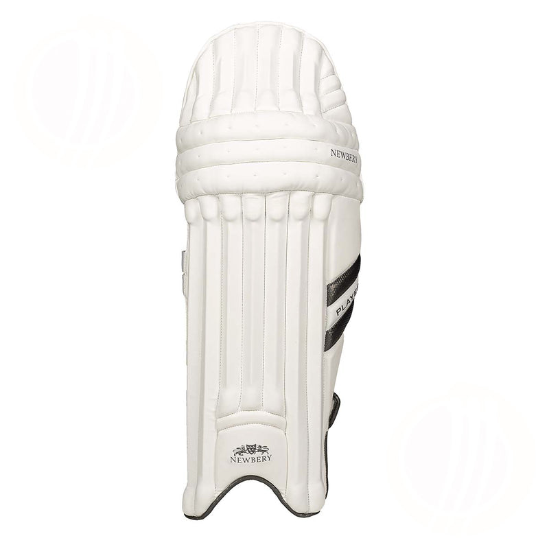 Newbery Player Cricket Batting Pads