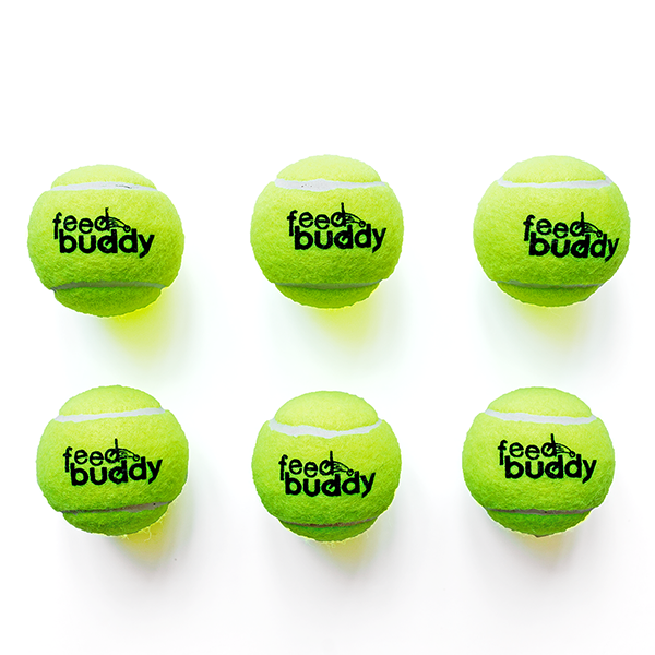 Feed Buddy Tennis Balls main