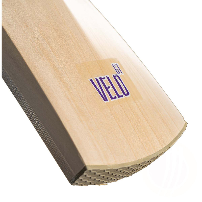 Newbery Velo GT Player Cricket Bat