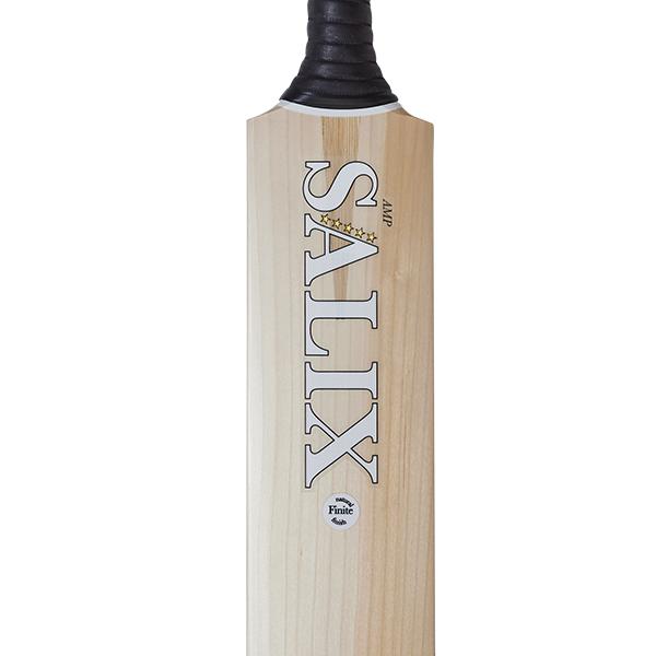 Salix AMP Performance Cricket Bat