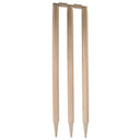 Aero Ash Wooden Stumps